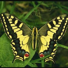 Схема вышивки «№43416»