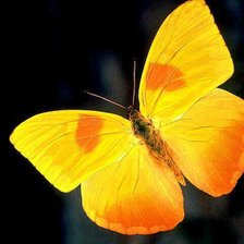 Схема вышивки «№43418»