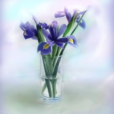 Схема вышивки «№43443»