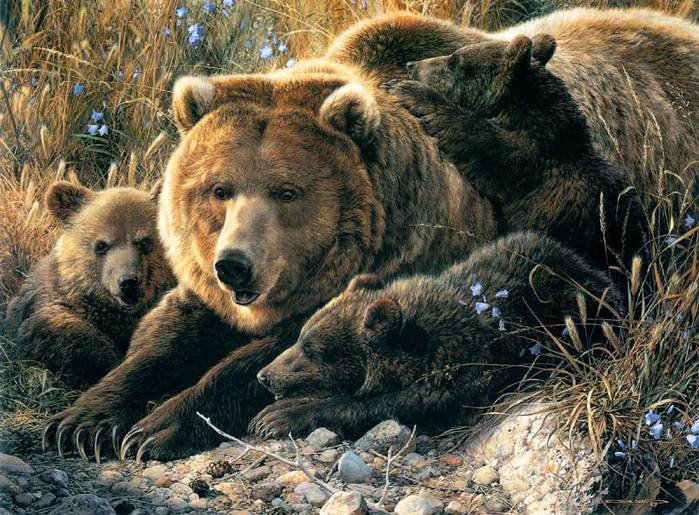 Медвежья семья - медведи, животные - оригинал