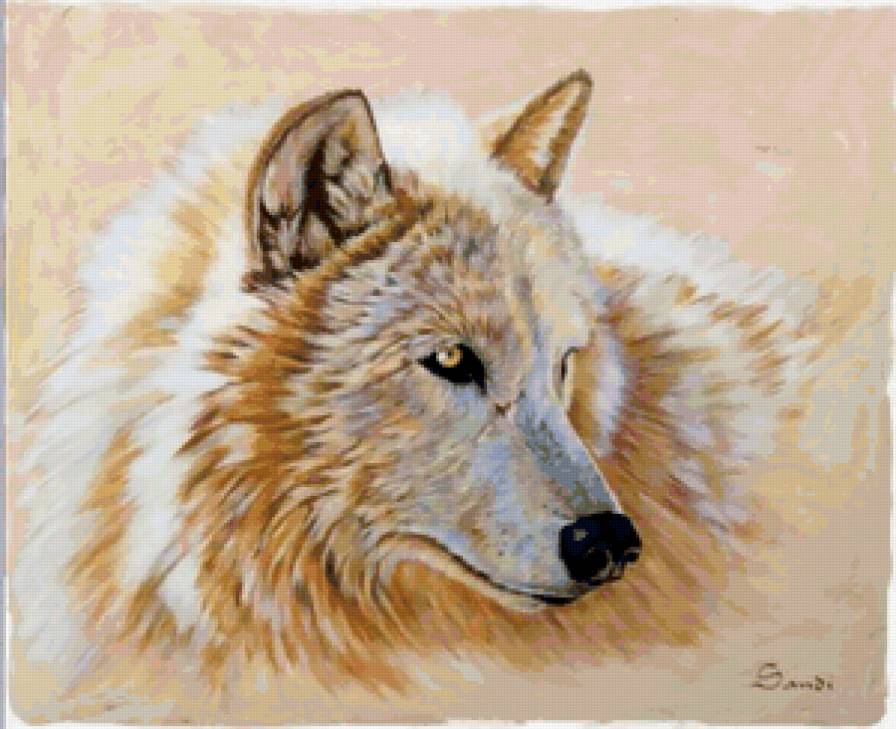 Серия "Волки" - волки, животные - предпросмотр