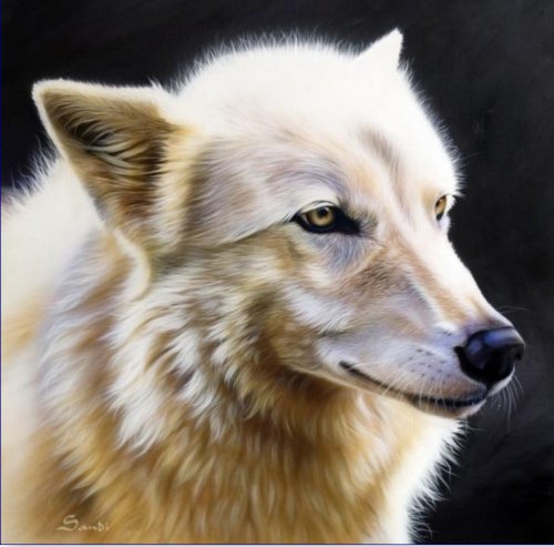 Серия "Волки" - волки, животные - оригинал