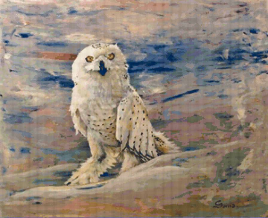 Серия "Птицы. Сова" - птицы, пейзаж, зима, сова - предпросмотр