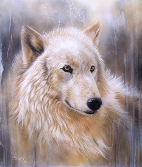 Серия "Волки" - волки, животные - оригинал