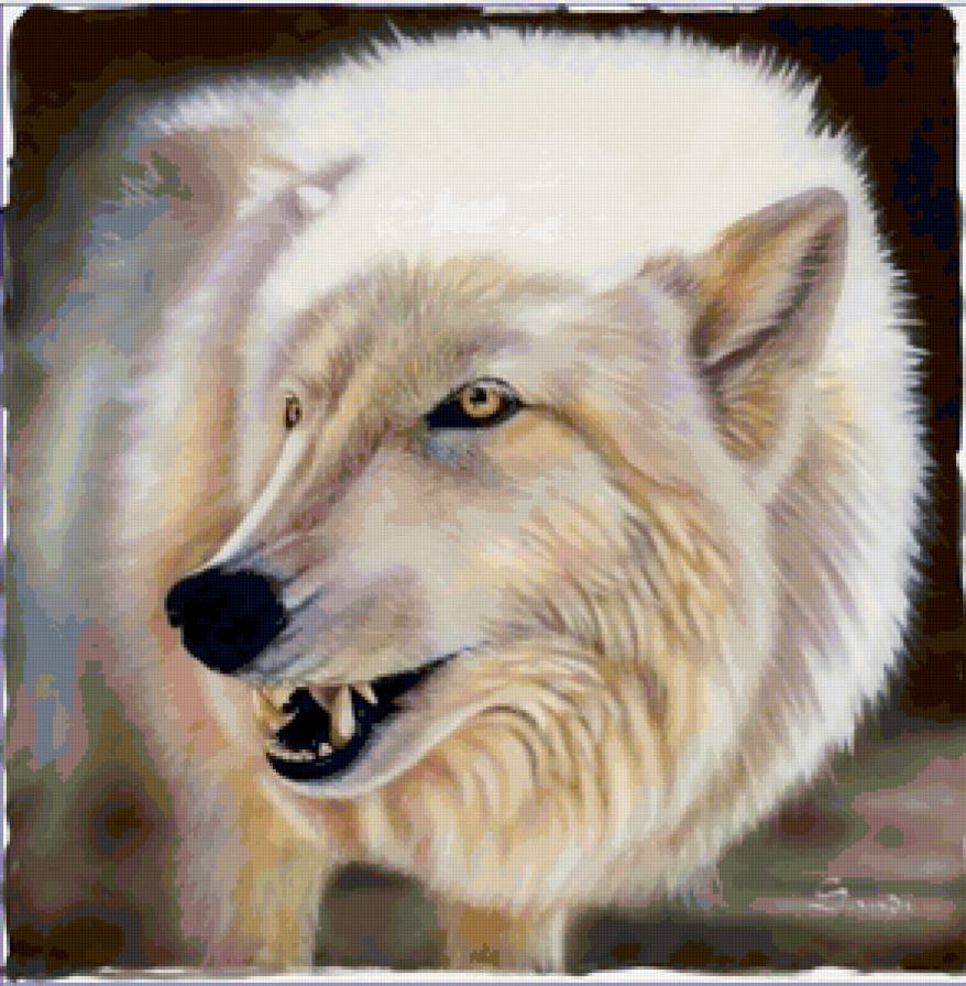 Серия "Волки" - волки, животные - предпросмотр