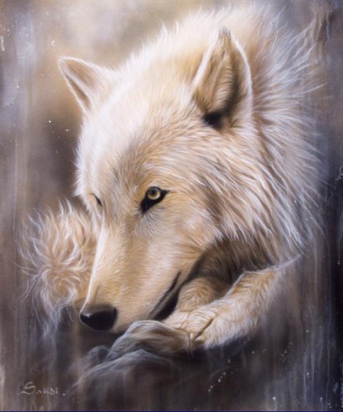 Серия "Волки" - волки, животные - оригинал