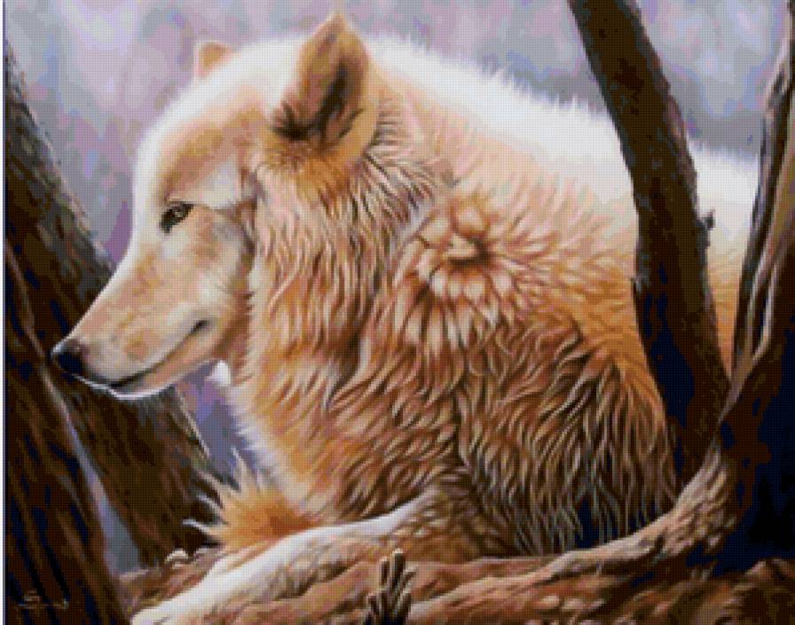 Серия "Волки" - волки, животные - предпросмотр