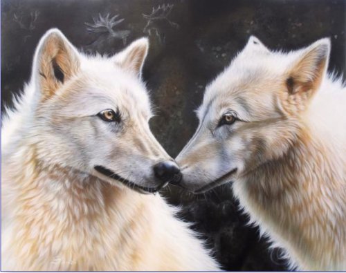 Серия "Волки" - животные, пара, волки - оригинал