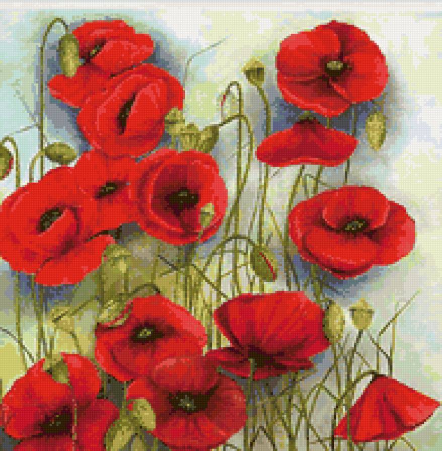 маки - маки, цветы - предпросмотр