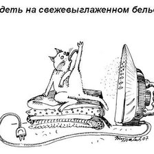 Оригинал схемы вышивки «что должен уметь кот» (№43715)