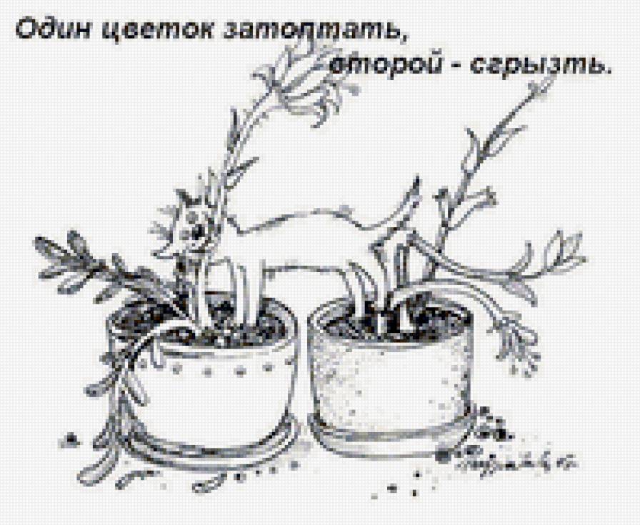 что должен уметь кот - предпросмотр