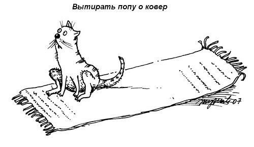 что должен уметь кот - прикол - оригинал