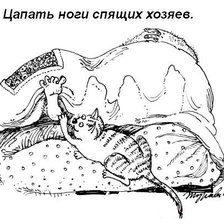 Оригинал схемы вышивки «что должен уметь кот» (№43739)