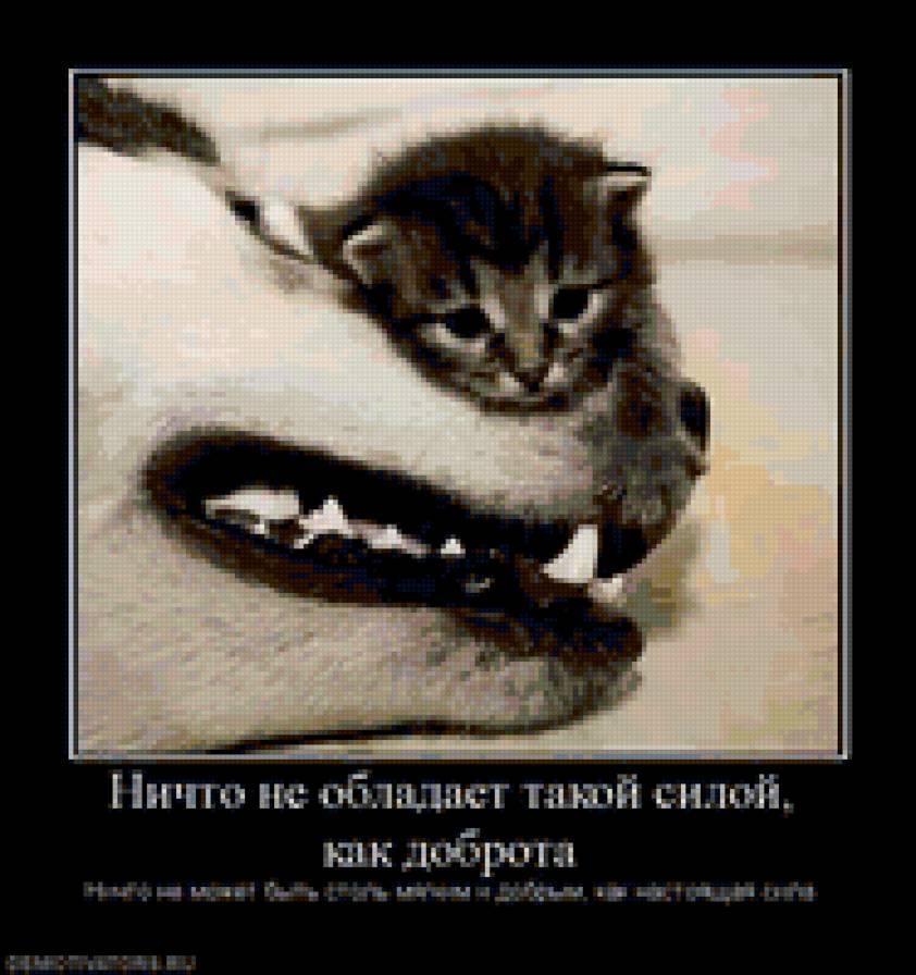 доброта1 - природа, животные - предпросмотр