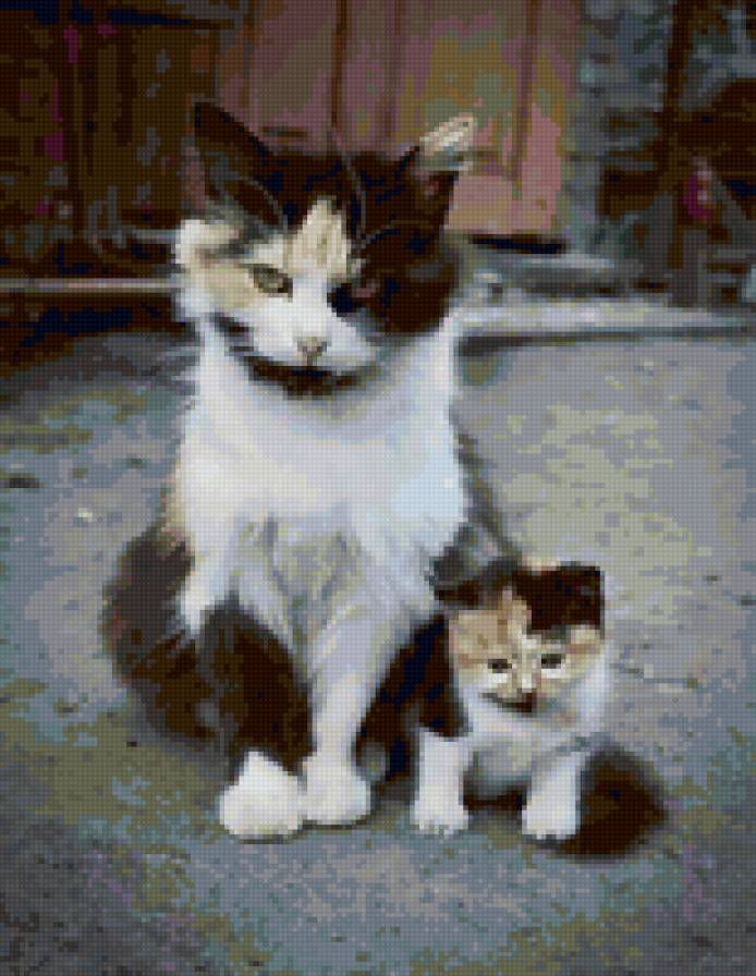 5633 - котята, животные, природа, кошки - предпросмотр