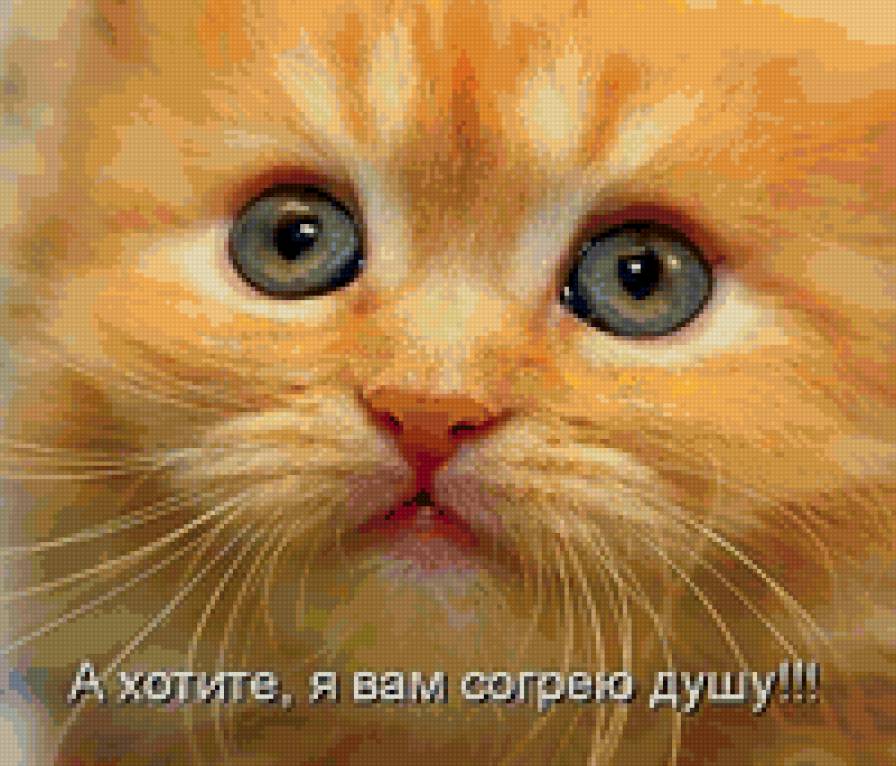 660 - животные, природа, кошки, котята - предпросмотр