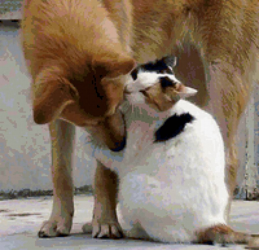 36565 - природа, животные, кошки, котята - предпросмотр