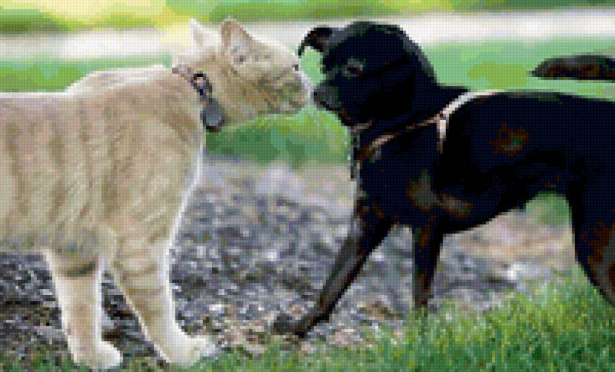 68674 - животные, природа - предпросмотр