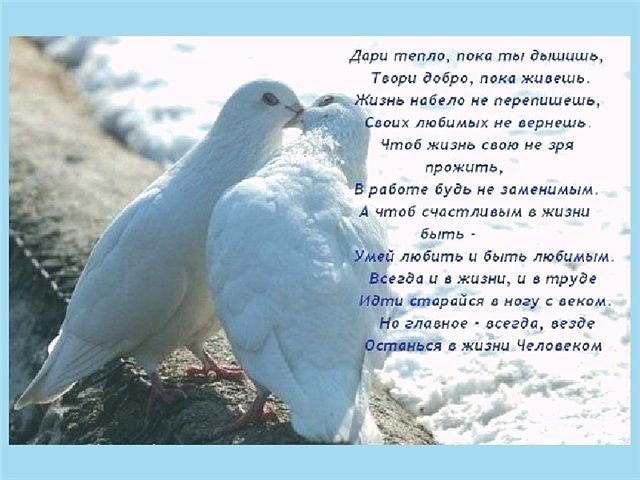 54444454 - птицы, природа - оригинал