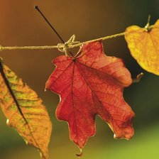 Схема вышивки «№44012»