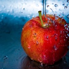 Схема вышивки «№44091»