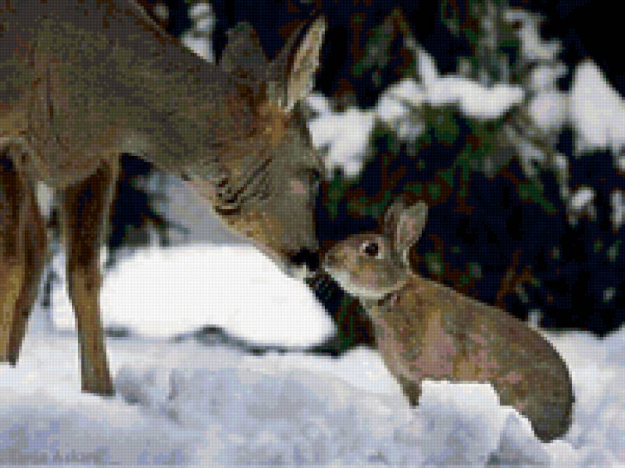 524354 - животные, природа - предпросмотр