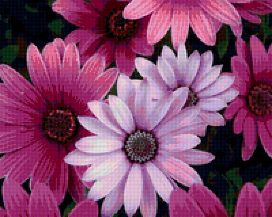 цветы7 - цветы, природа - предпросмотр