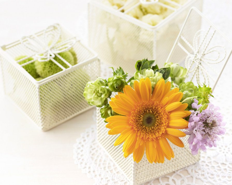 цветы12 - цветы, природа - оригинал