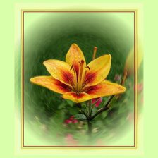 Схема вышивки «№44436»