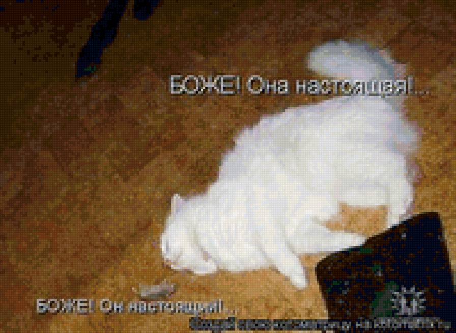 65654 - кошки, котята, животные, природа - предпросмотр