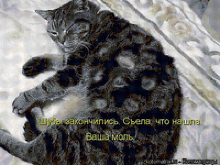 896 - природа, котята, кошки, животные - предпросмотр