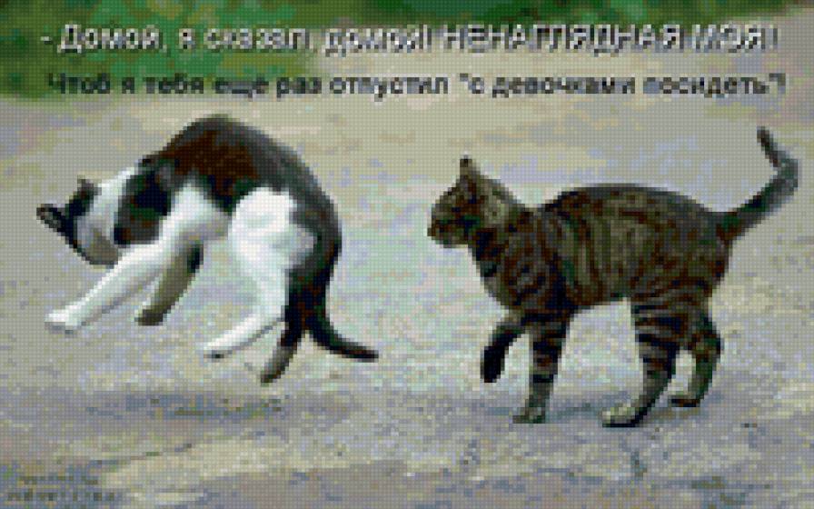 654546 - природа, животные, кошки, котята - предпросмотр