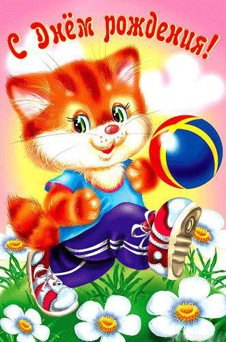 котик - оригинал