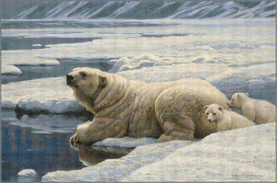 Семья белых медведей - животные, зима, снег, медведи, пейзаж - предпросмотр