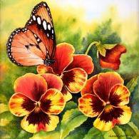 Бабочка на цветах - бабочка, анютины глазки - оригинал