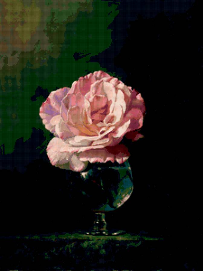 Серия "Соло розы" - роза, цветы - предпросмотр