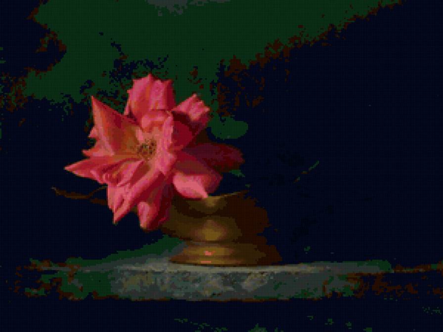 Серия "Соло розы" - цветы, роза - предпросмотр