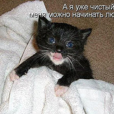 Схема вышивки «5469»