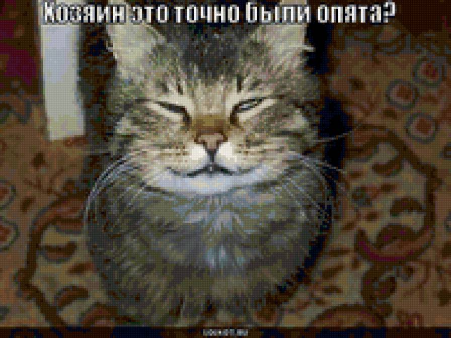 6564, - кошки, котята, природа, животные - предпросмотр