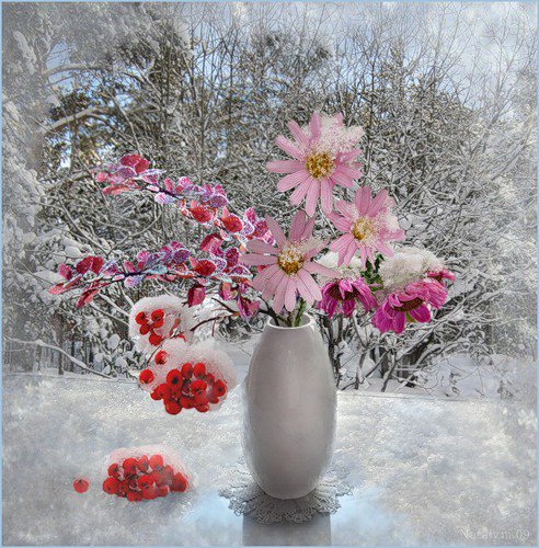 Зимний букет - зима, натюрморт, букет, цветы - оригинал
