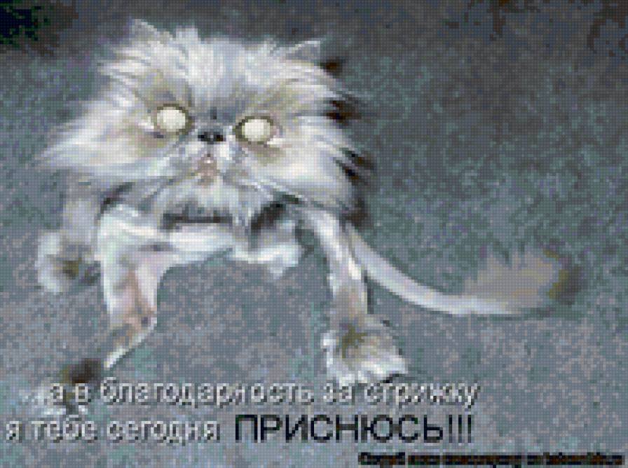 58787 - кошки, животные, котята, природа - предпросмотр