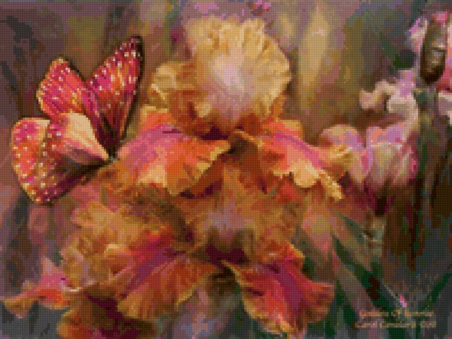 ирис - флора, цветок, ирис - предпросмотр