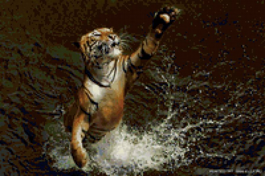 тигр2 - тигр, природа, животные - предпросмотр