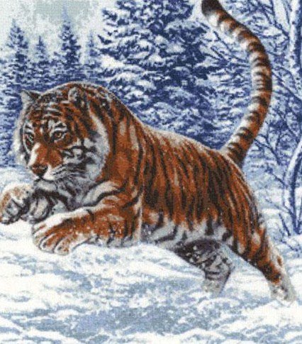 Тигр - зима, природа, тигр, снег, пейзаж, лес - оригинал
