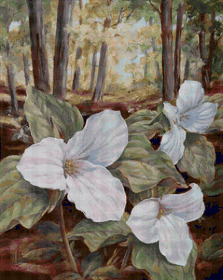 №45406 - предпросмотр