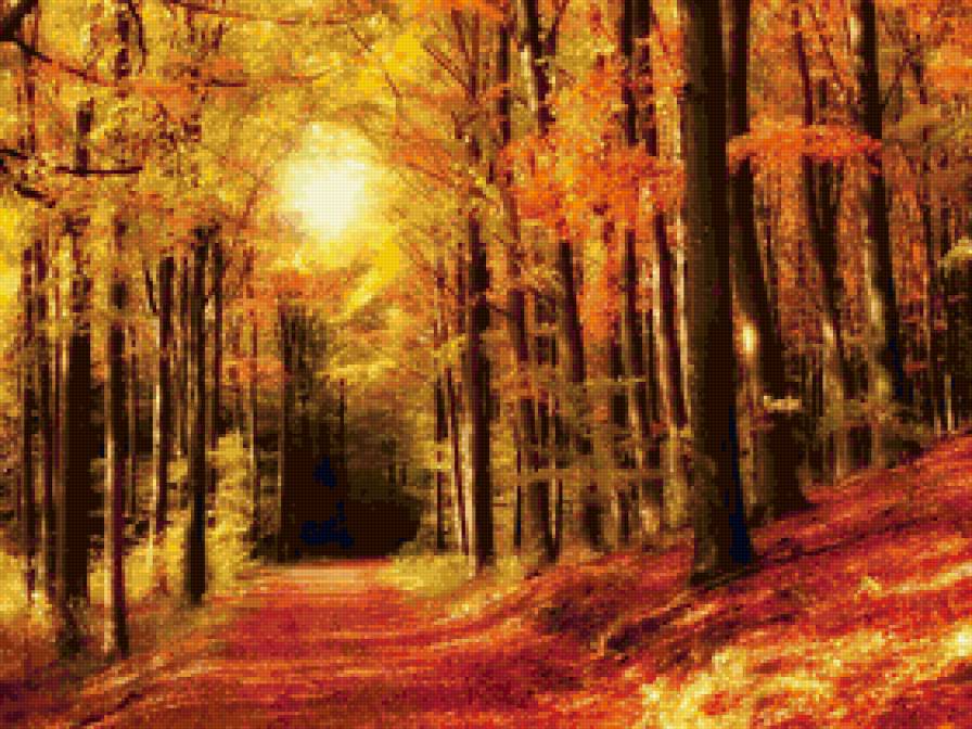 осень золотая - осень, пейзаж, природа - предпросмотр