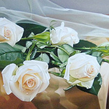 Оригинал схемы вышивки «белые розы» (№45657)