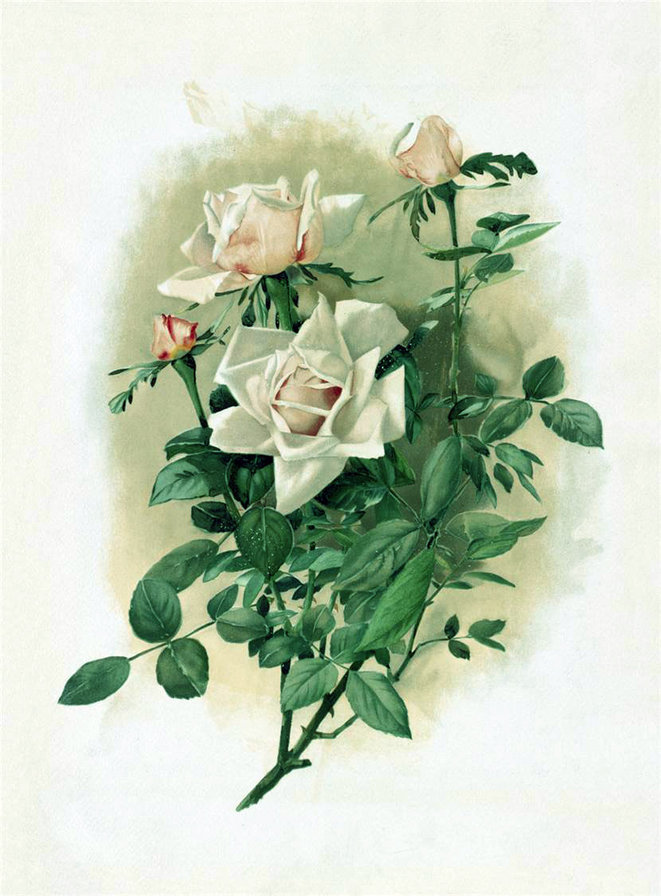 Серия "Цветы" - розы, цветы - оригинал