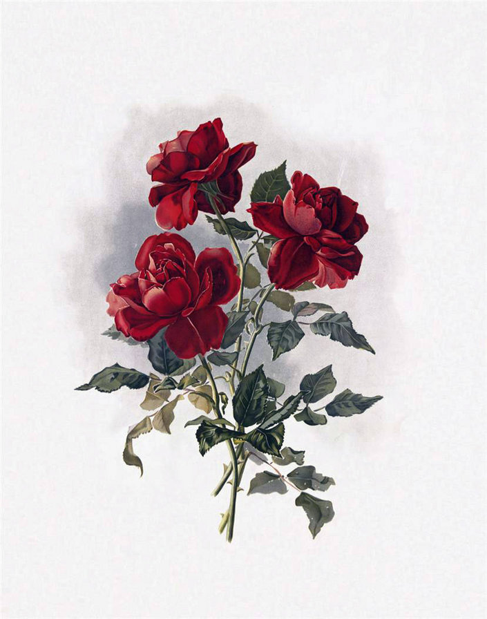 Серия "Цветы" - розы, цветы - оригинал