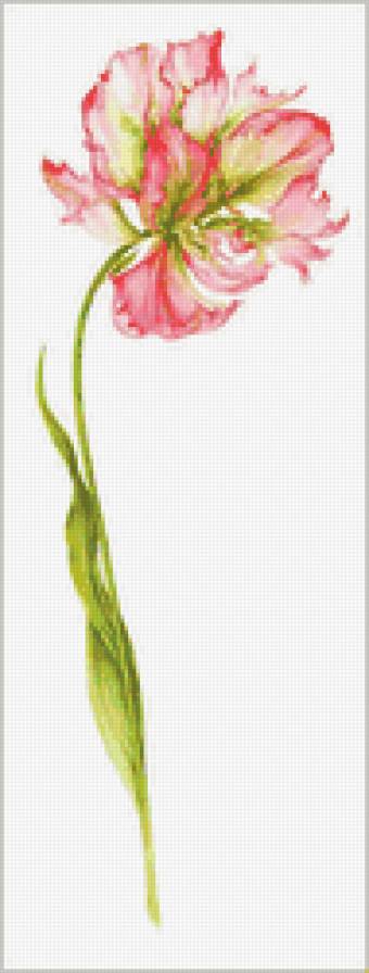 Серия "Цветы" - цветы - предпросмотр